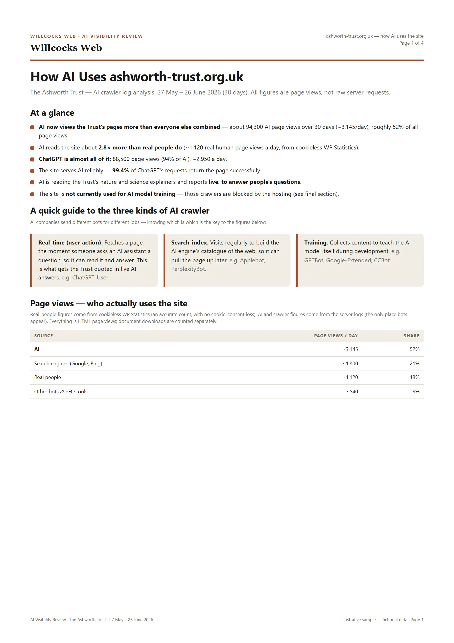 First page of the AI visibility review sample report