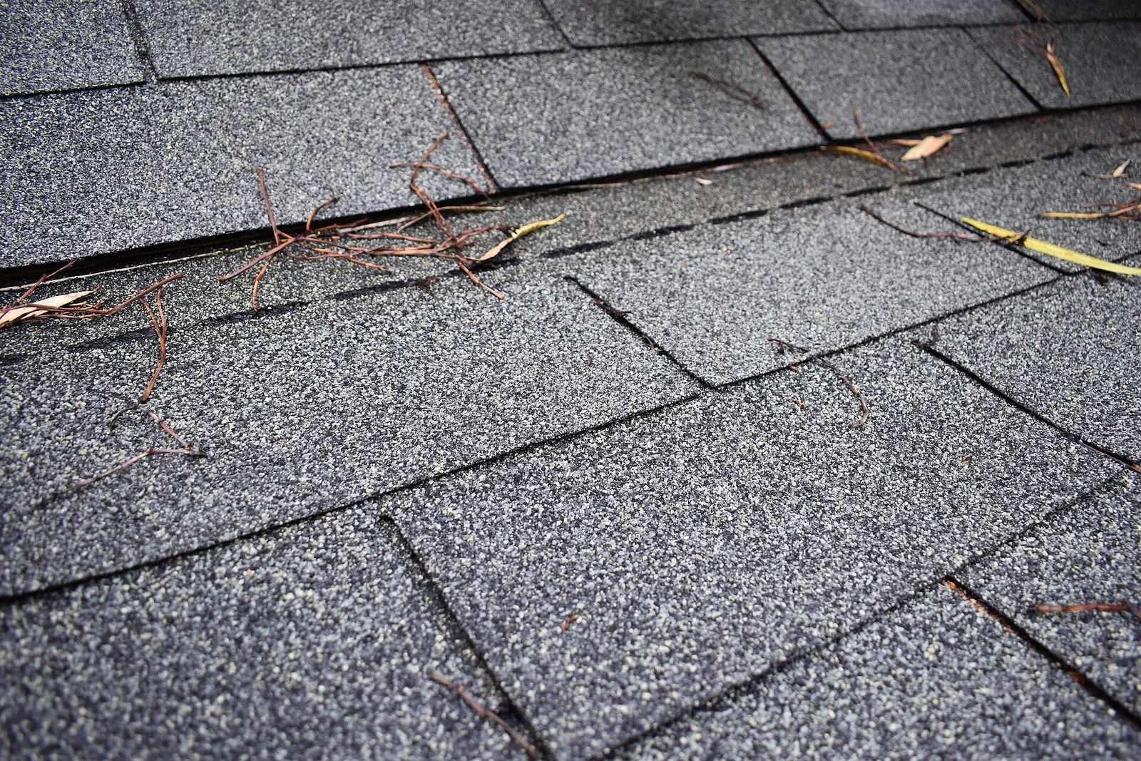 Close-up of a grey asphalt shingle roof, the overlapping granulated strips clearly visible