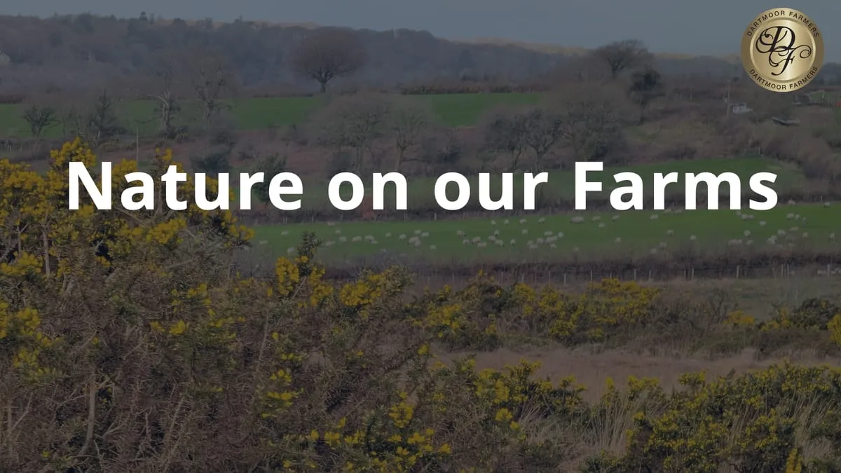 Nature on our farms — video still