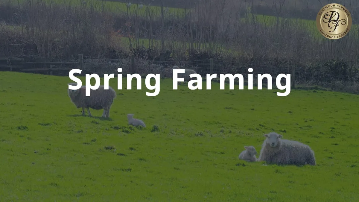 Spring farming — video still