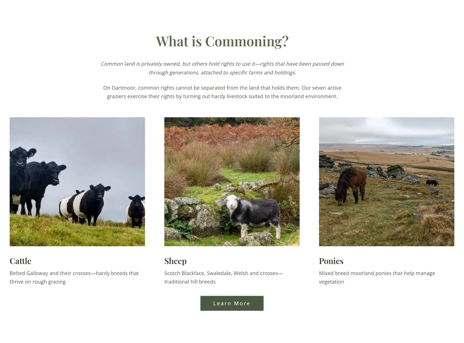 The What is Commoning? section explaining common rights, with photographs of cattle, sheep and ponies and a line of description under each.