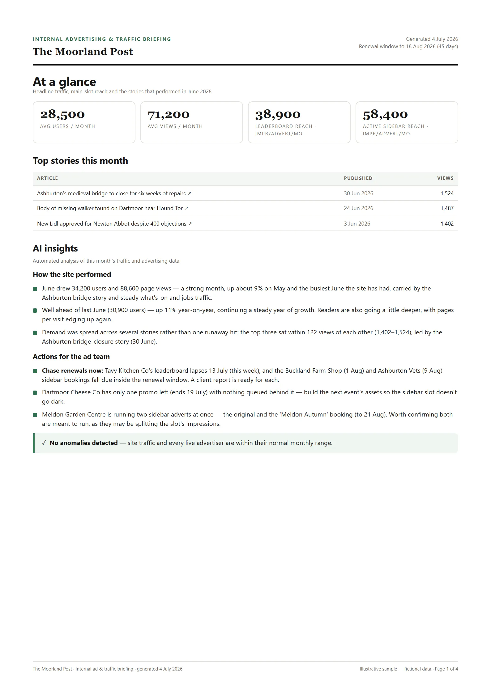 First page of the Internal briefing sample report