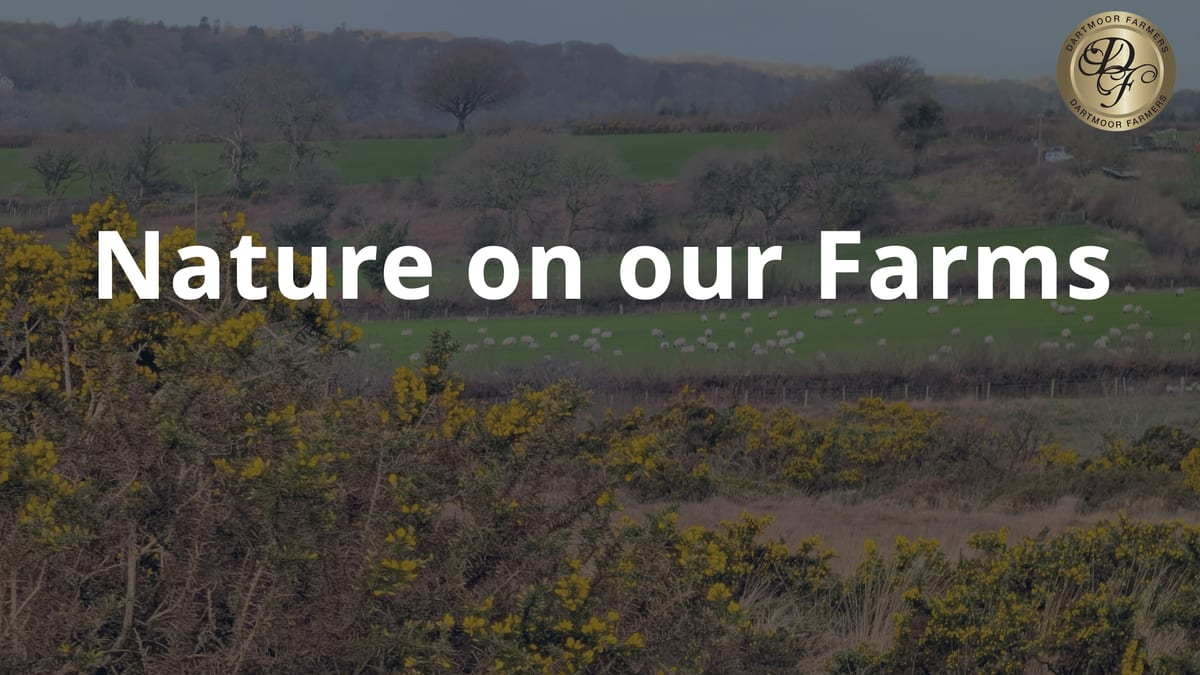 Nature on our farms — video still